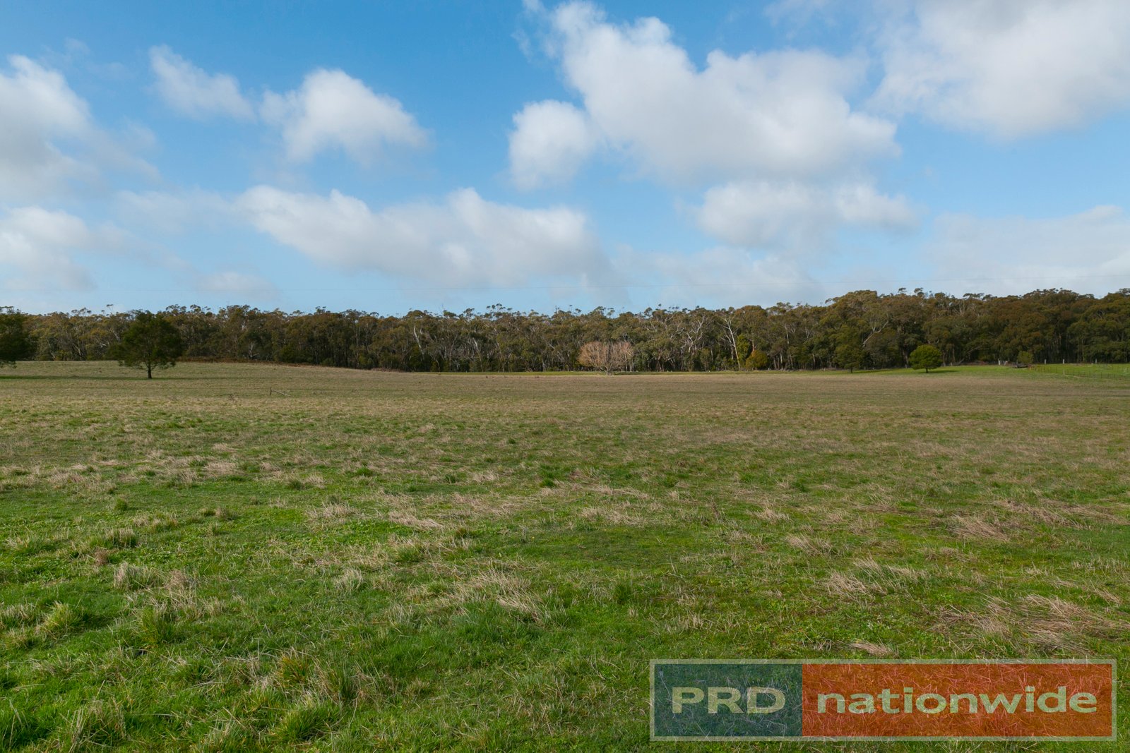 157 Haywood Road LAL LAL 5