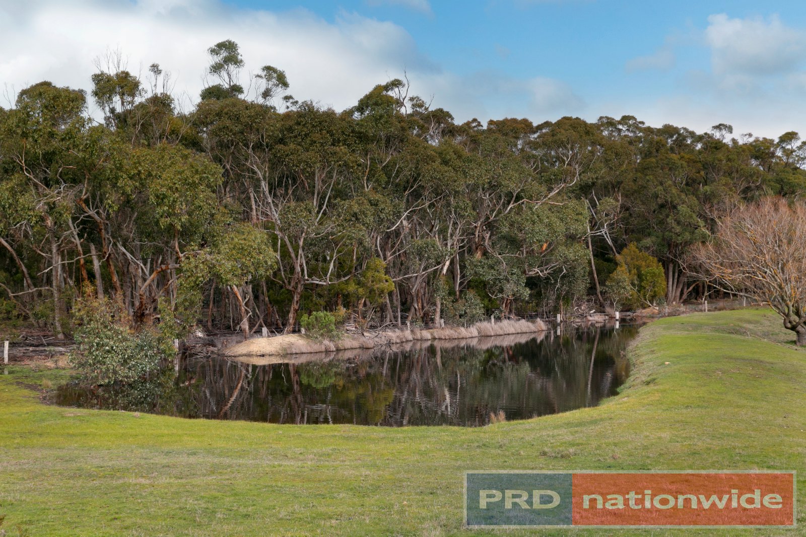 157 Haywood Road LAL LAL 6
