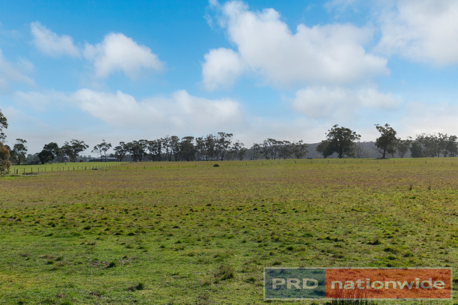 157 Haywood Road LAL LAL 7