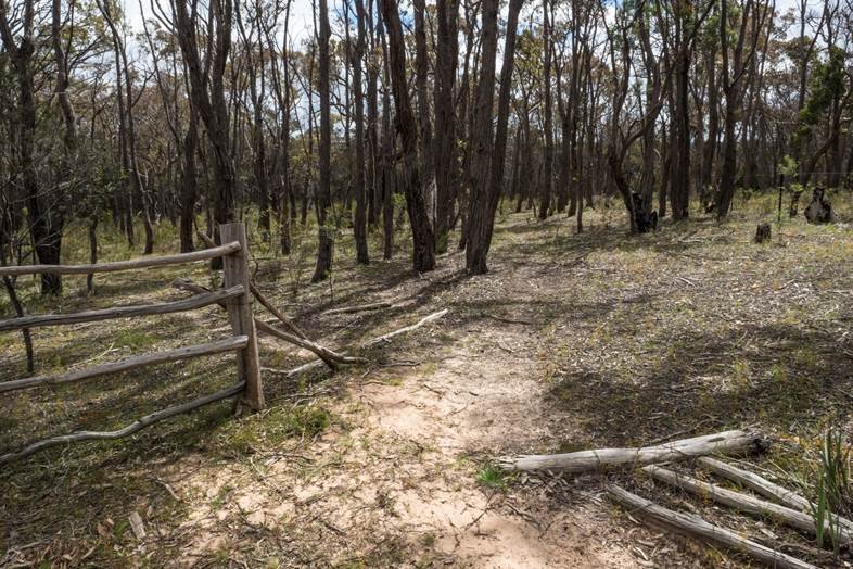 Lot 31 Tantaus Road DEREEL 1