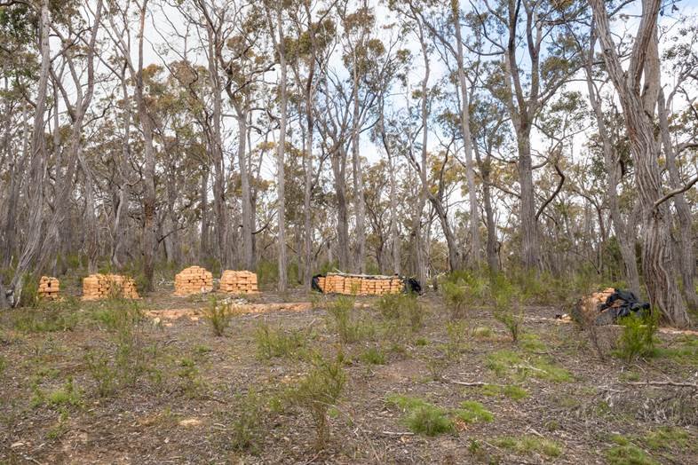 Lot 31 Tantaus Road DEREEL 2