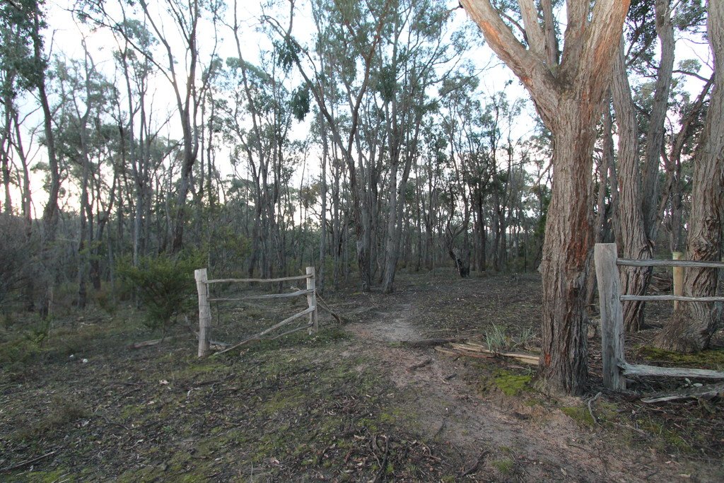 Lot 31 Tantaus Road DEREEL 6