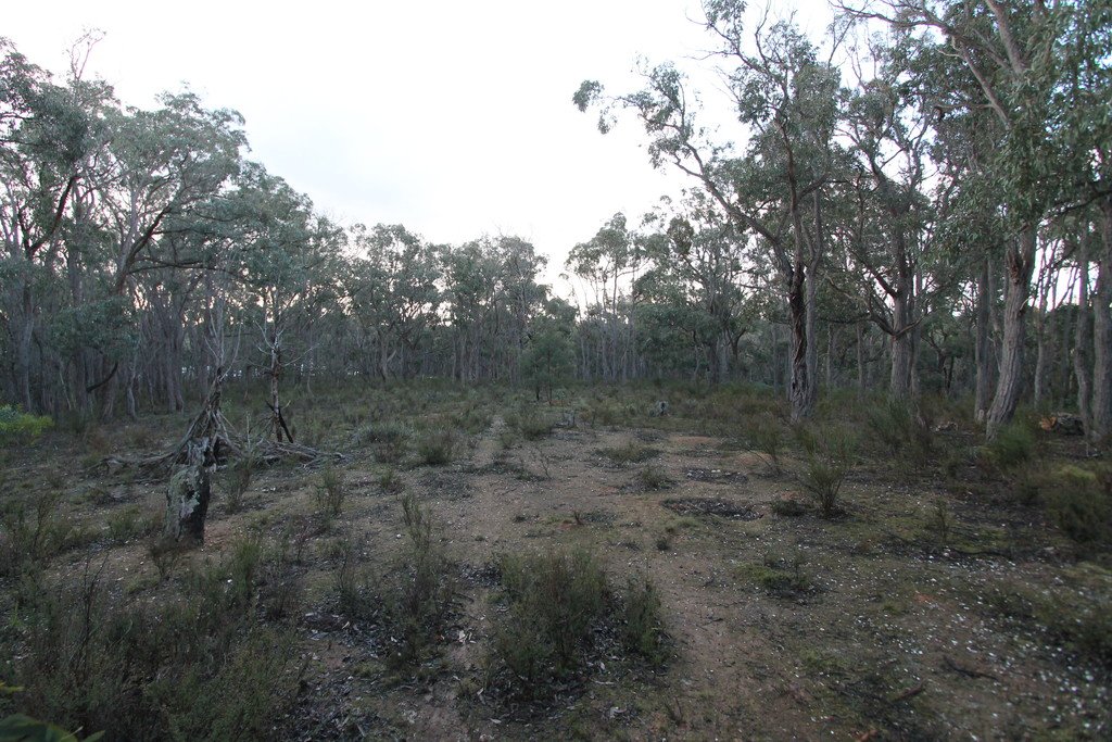 Lot 31 Tantaus Road DEREEL 7
