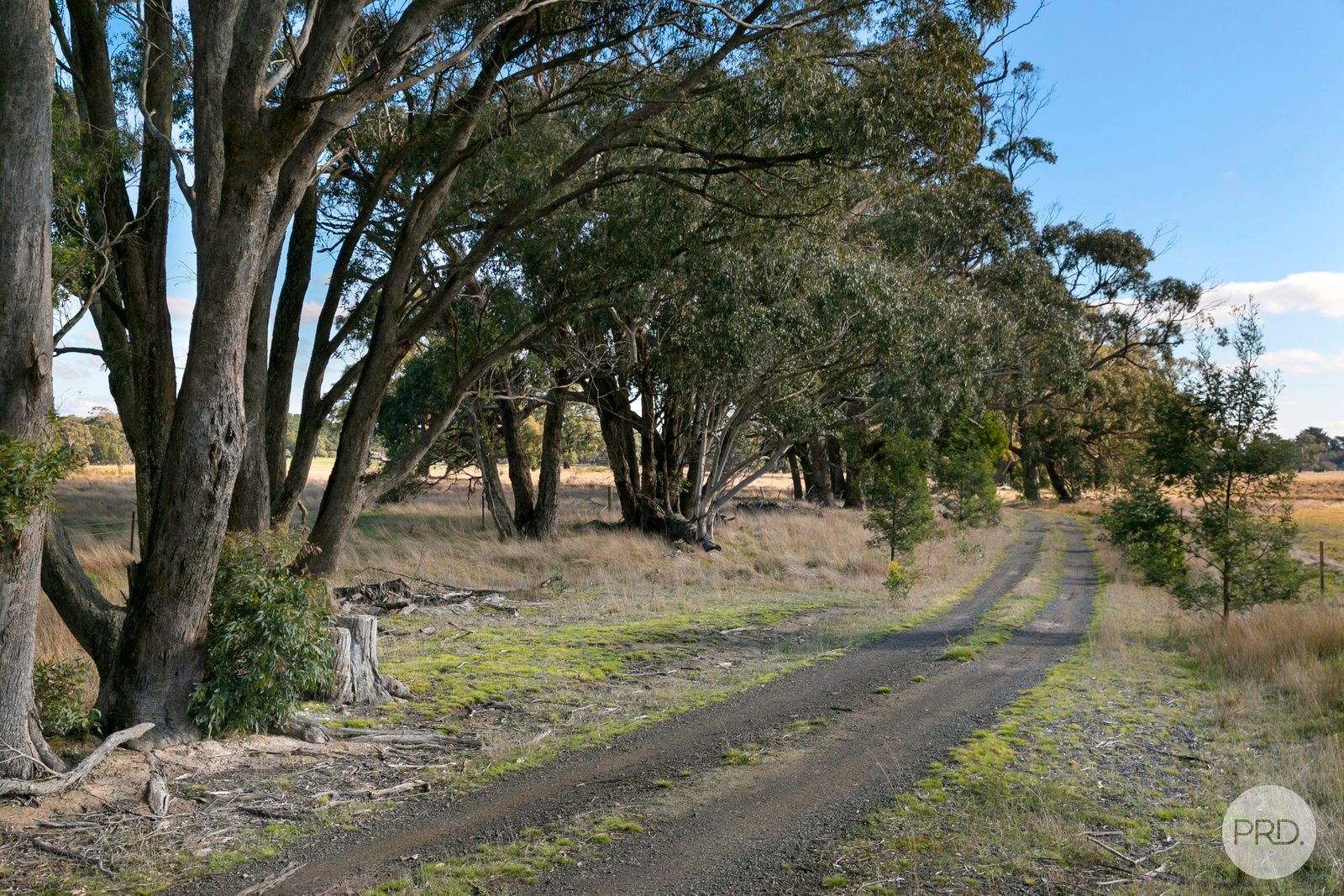 157 Haywood Road LAL LAL 2