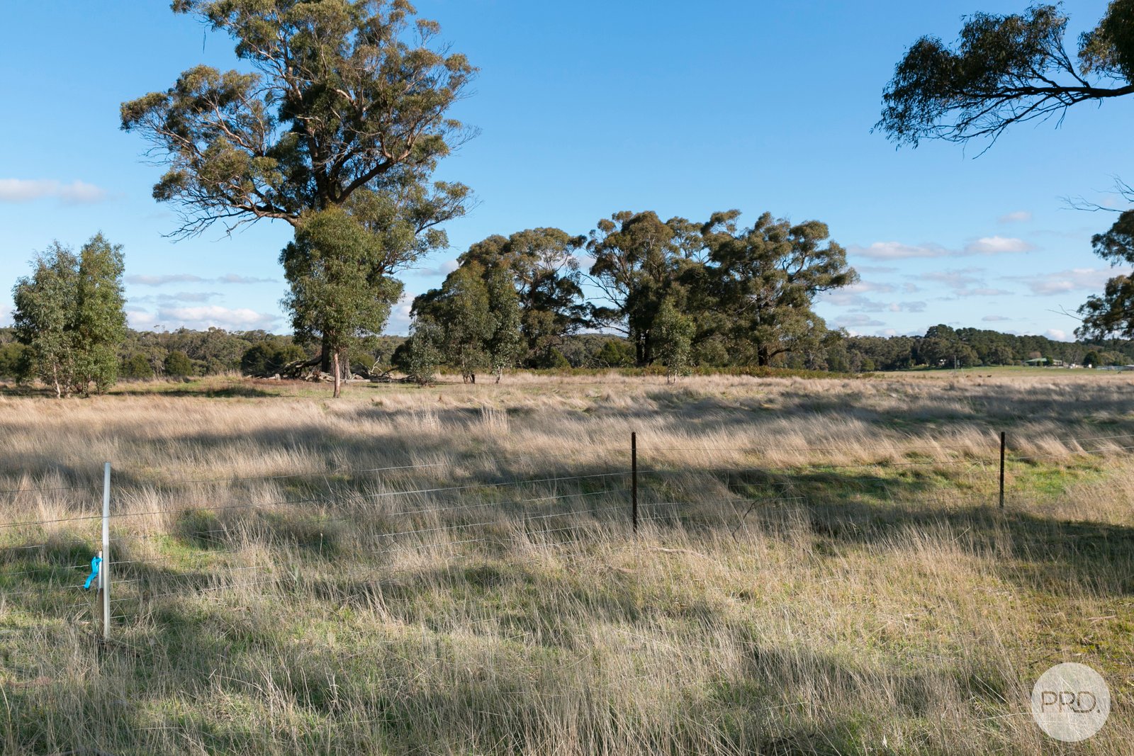 157 Haywood Road LAL LAL 3