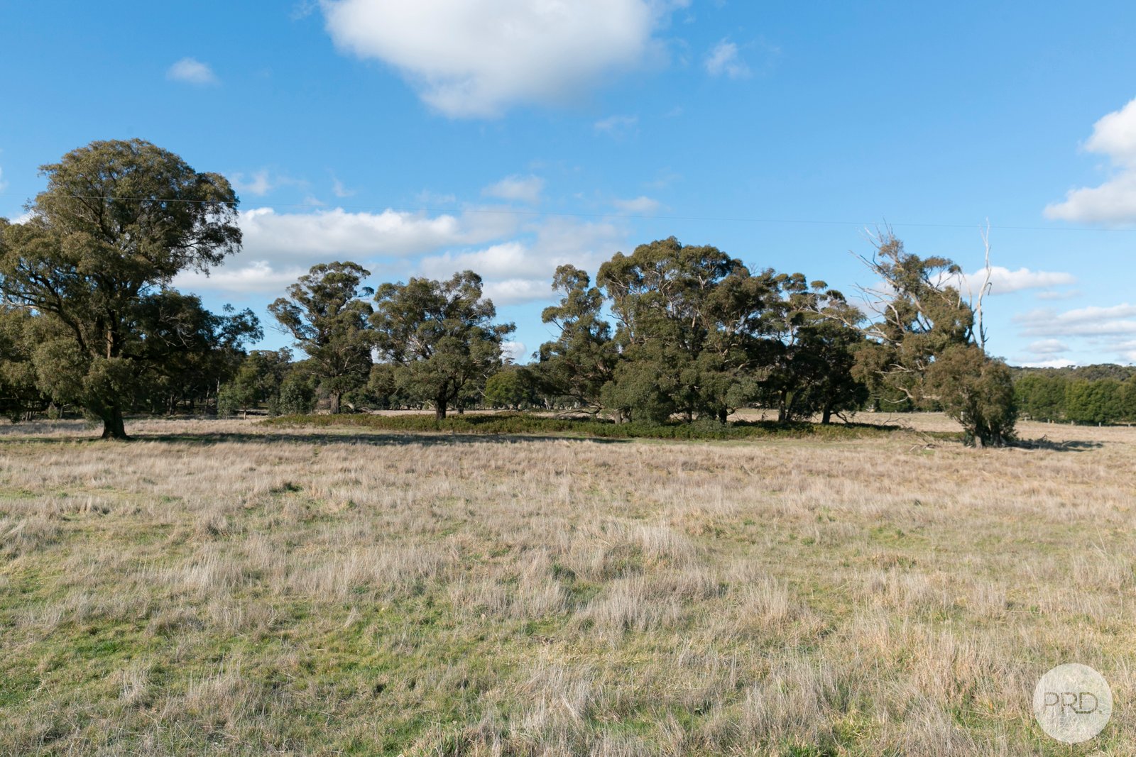 157 Haywood Road LAL LAL 4