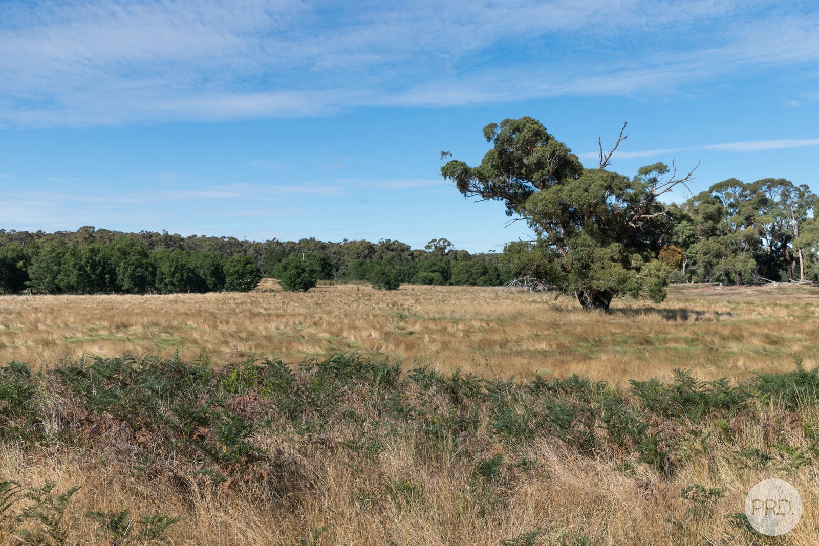  Mills Road LAL LAL 3