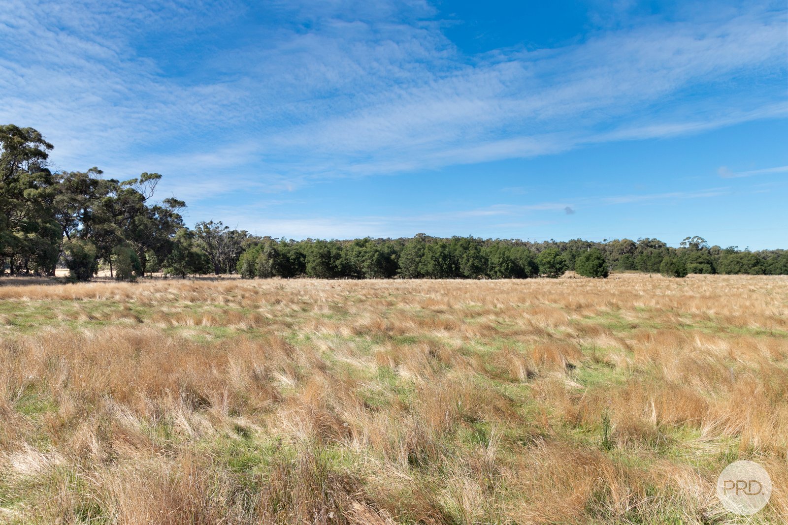  Mills Road LAL LAL 4