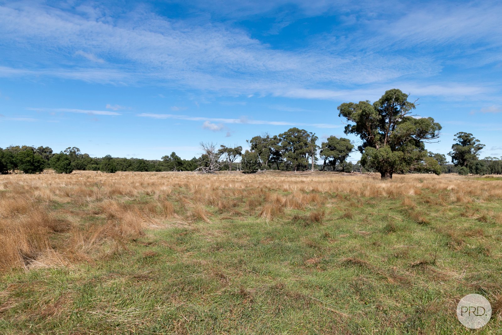  Mills Road LAL LAL 5