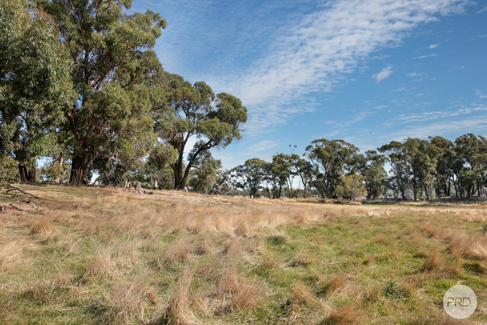  Mills Road LAL LAL 6