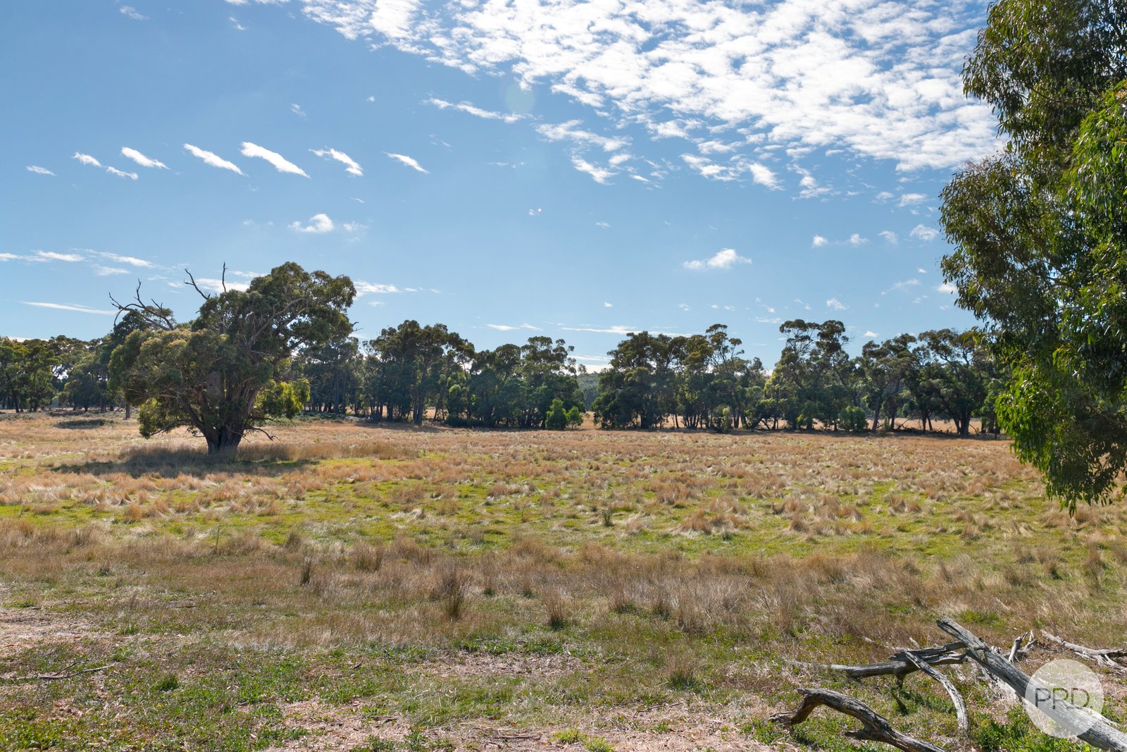  Mills Road LAL LAL 7