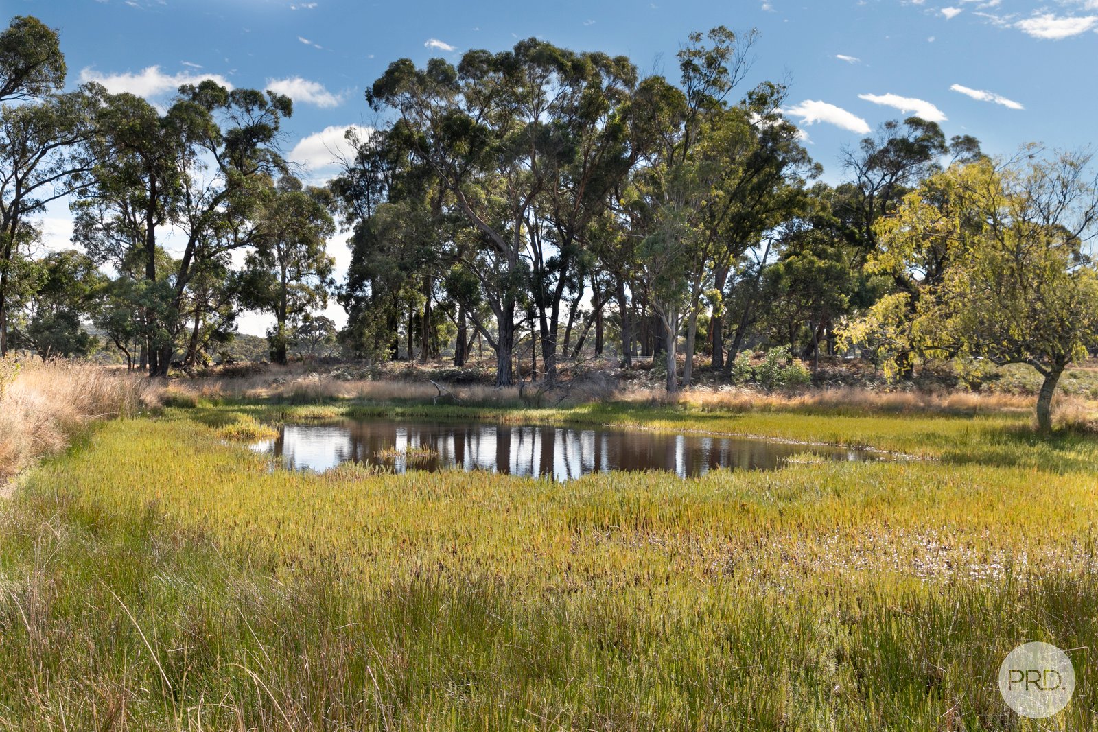  Mills Road LAL LAL 8