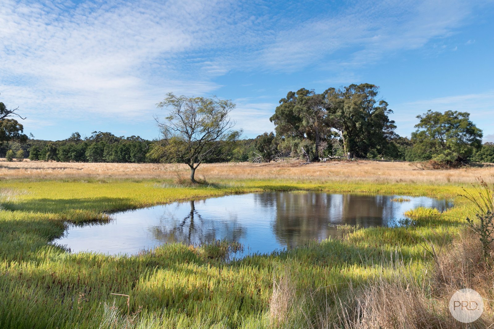  Mills Road LAL LAL 9