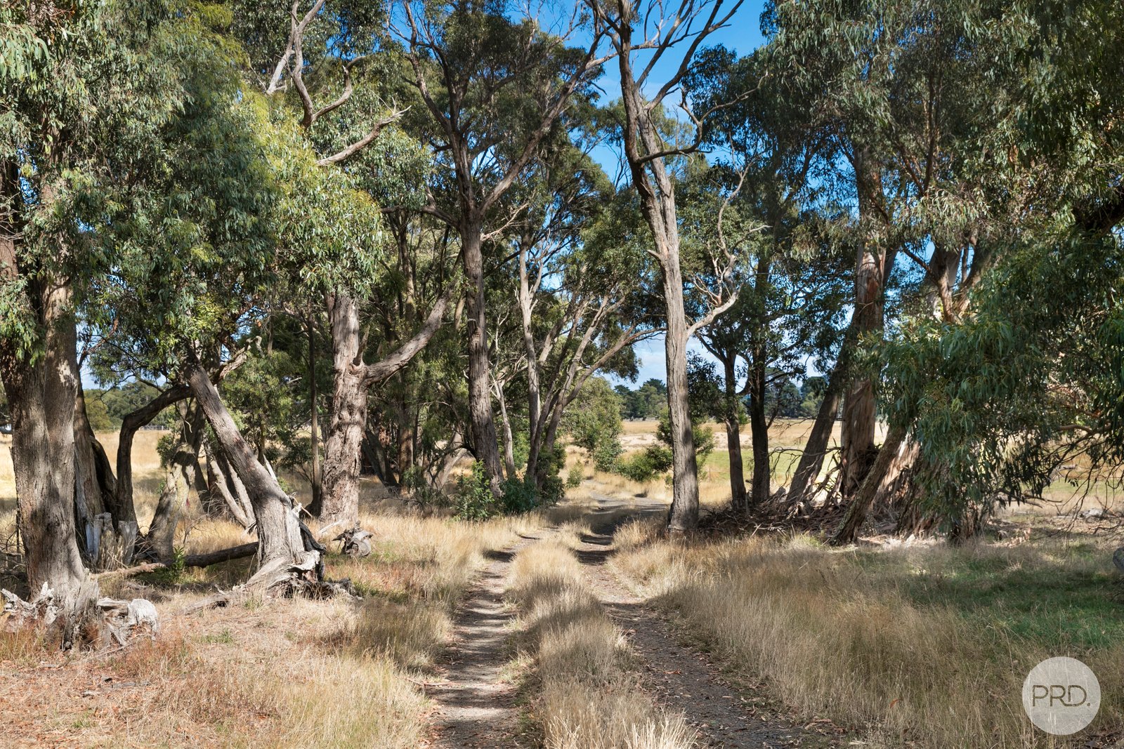  Mills Road LAL LAL 10