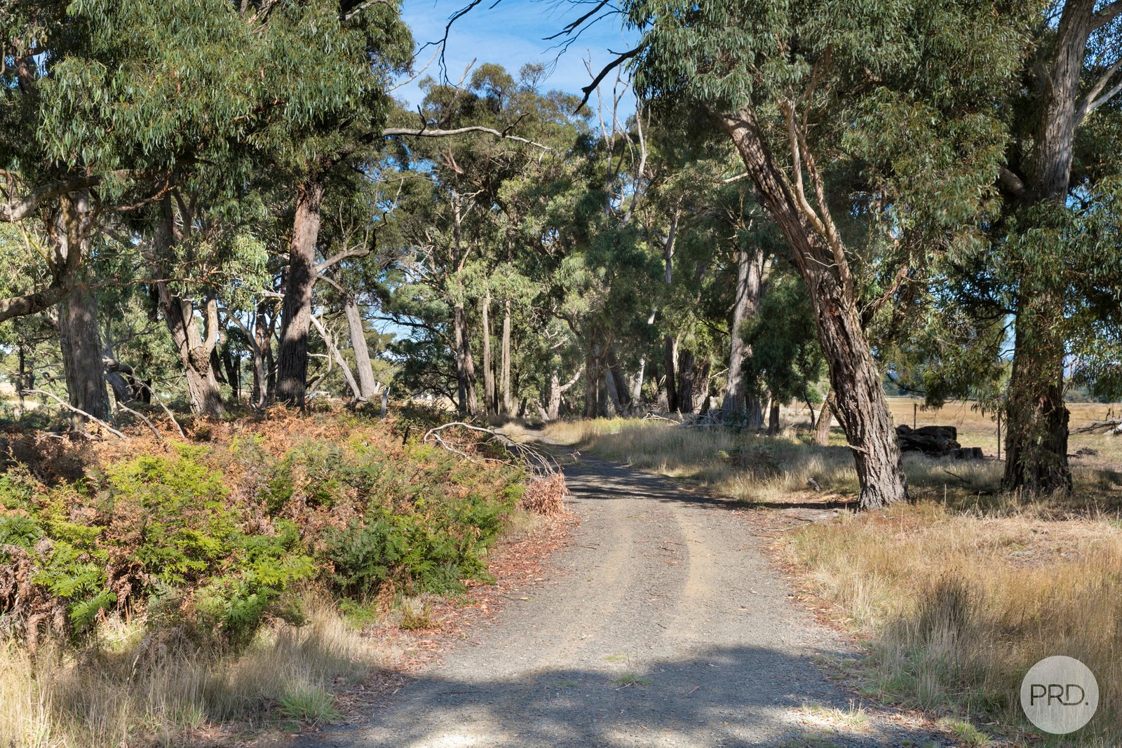  Mills Road LAL LAL 11