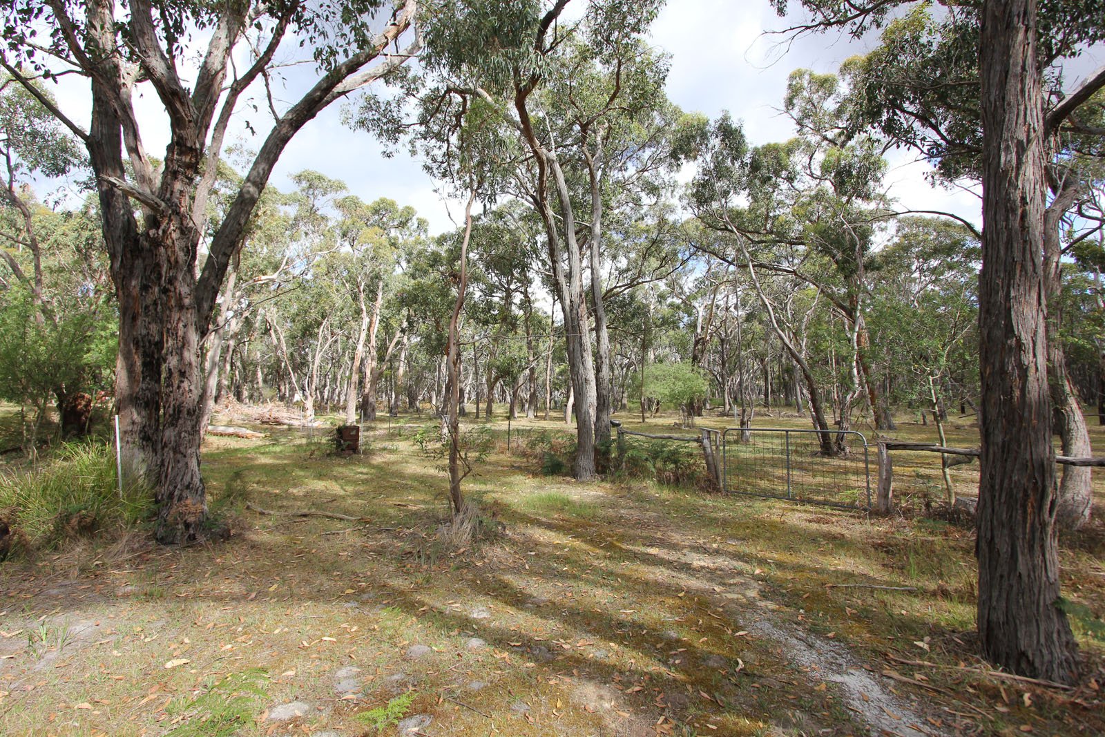 Lot 33 Progress Road DEREEL 3