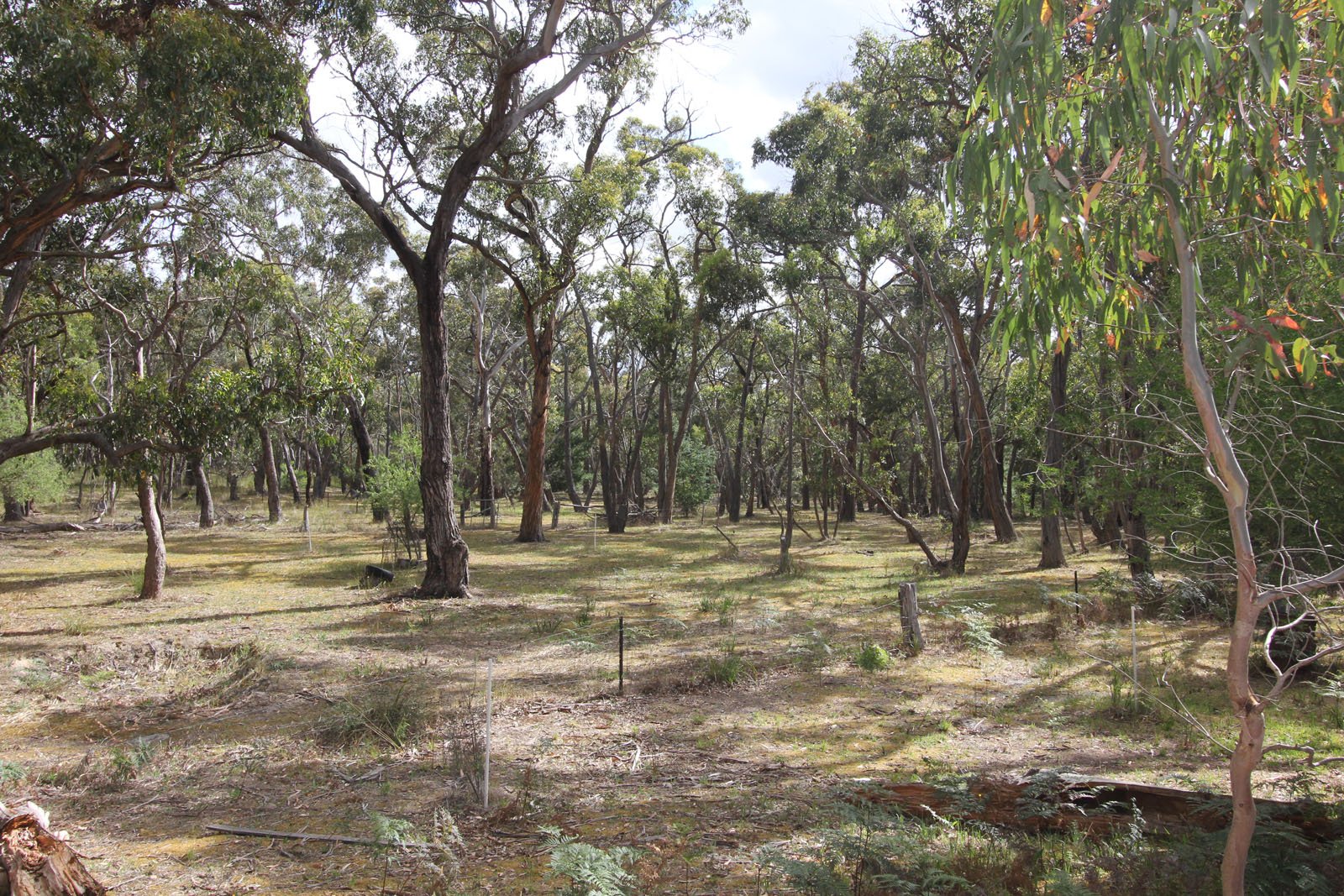 Lot 33 Progress Road DEREEL 5