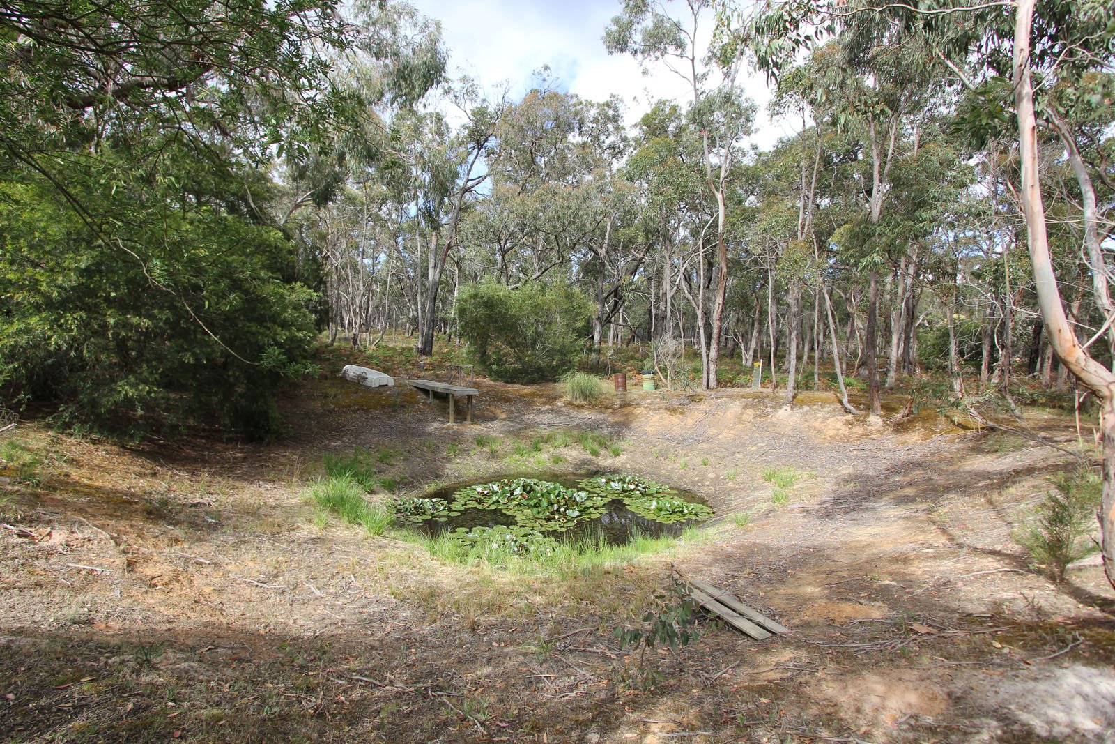 Lot 33 Progress Road DEREEL 6