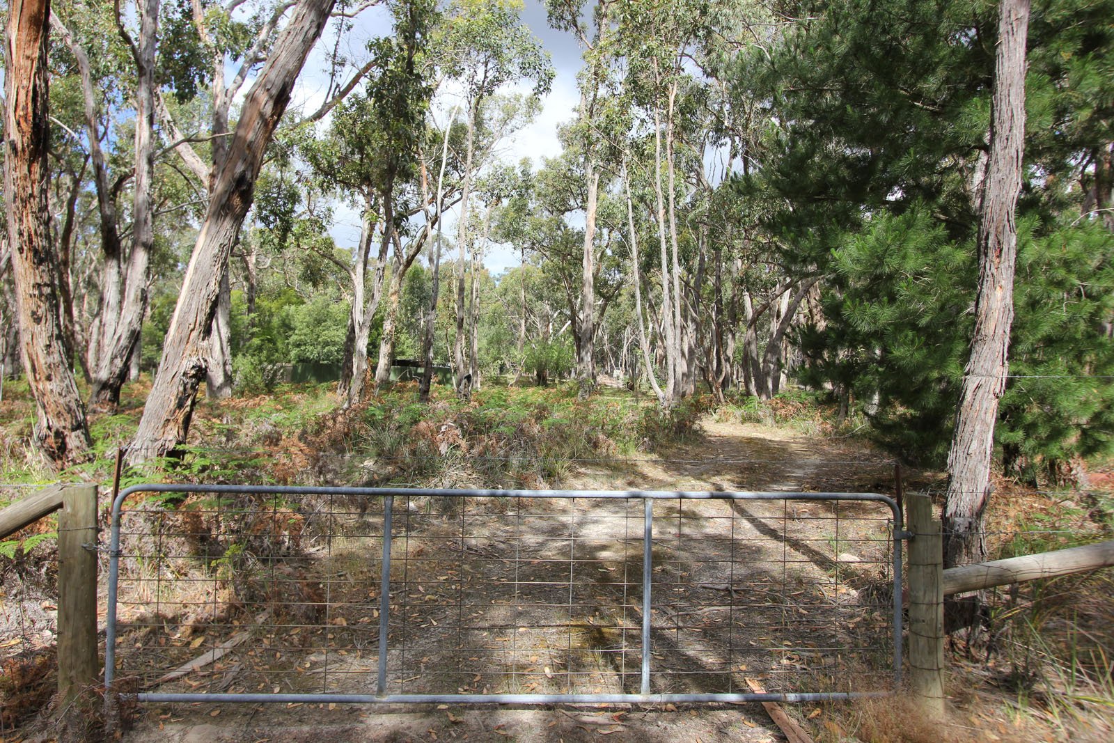 Lot 33 Progress Road DEREEL 10