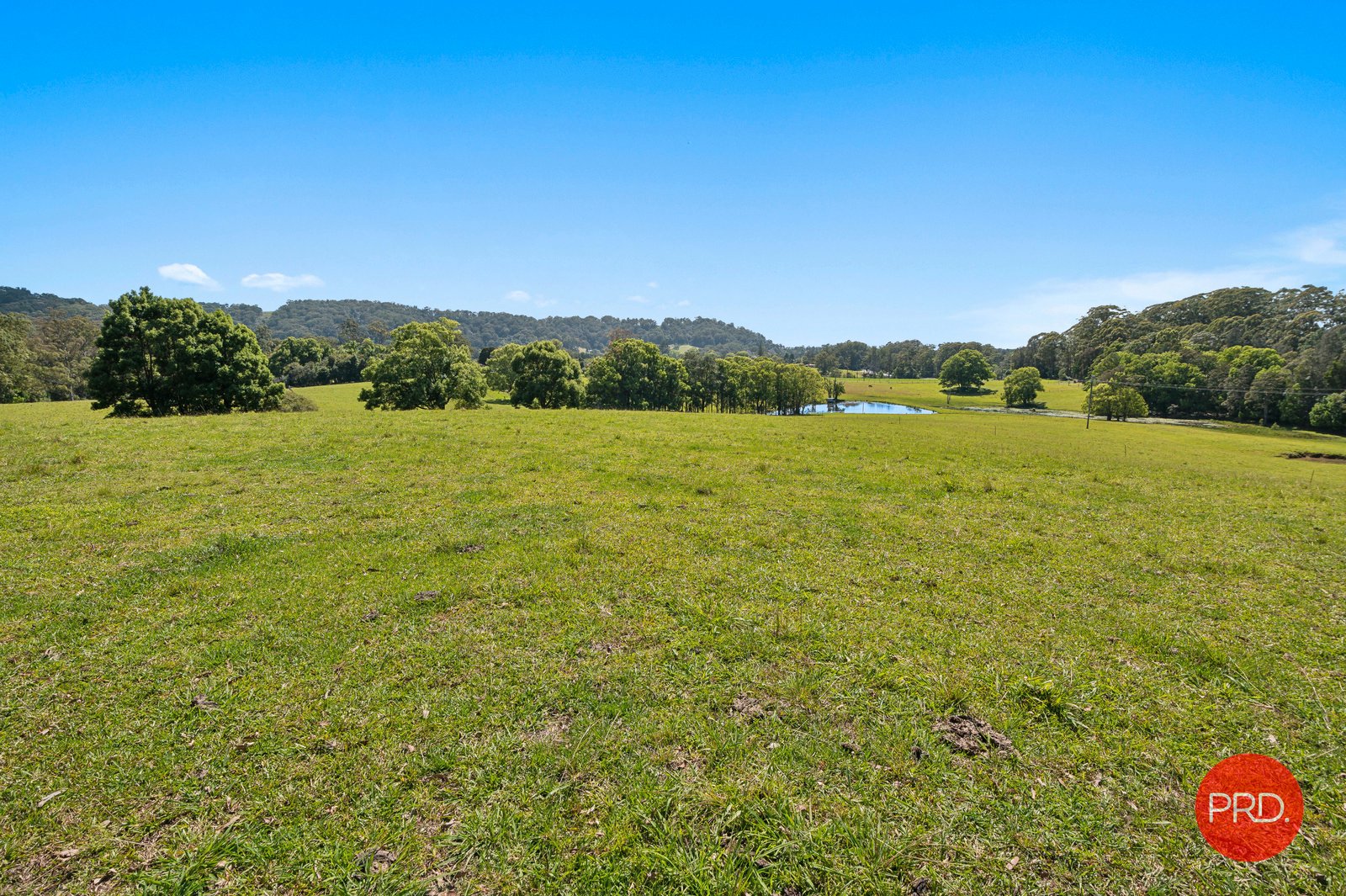 214 Pine Creek Way BONVILLE 4