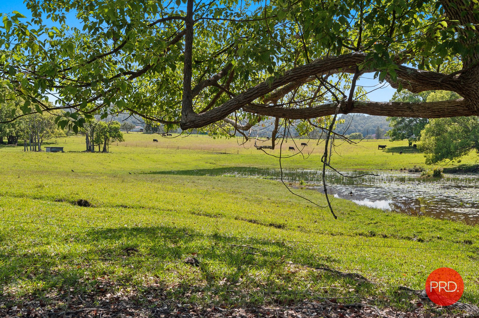 214 Pine Creek Way BONVILLE 10