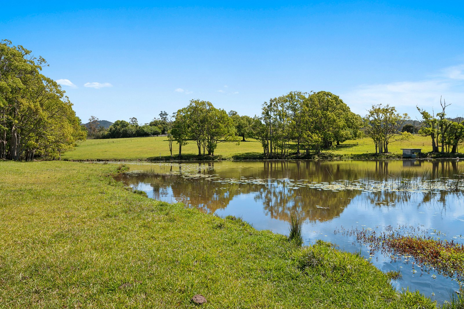 214 Pine Creek Way BONVILLE 16