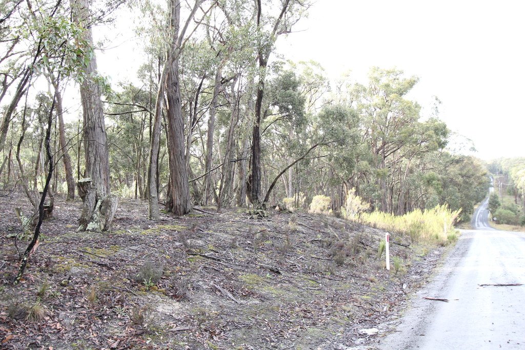 Lot 38 Currawong Road LAL LAL 1