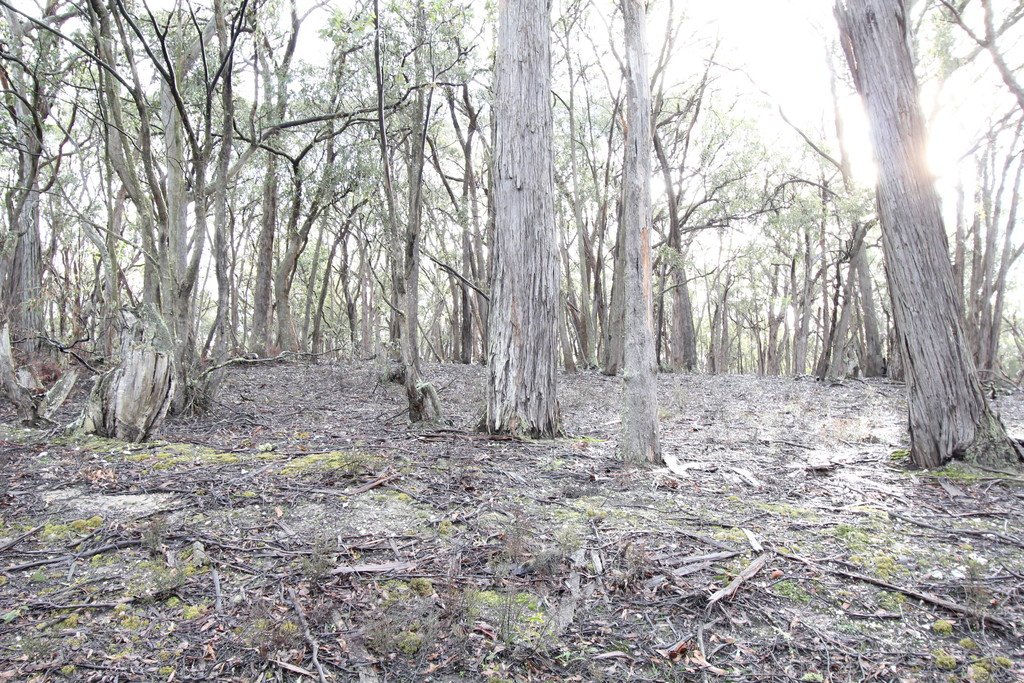 Lot 38 Currawong Road LAL LAL 2