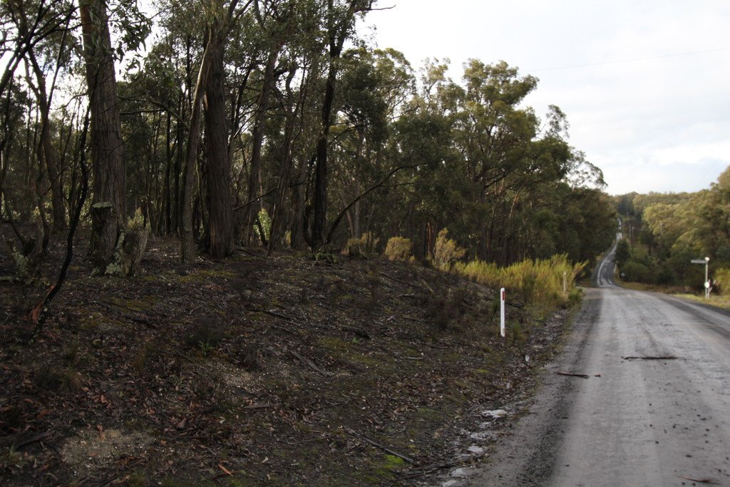 Lot 38 Currawong Road LAL LAL 6