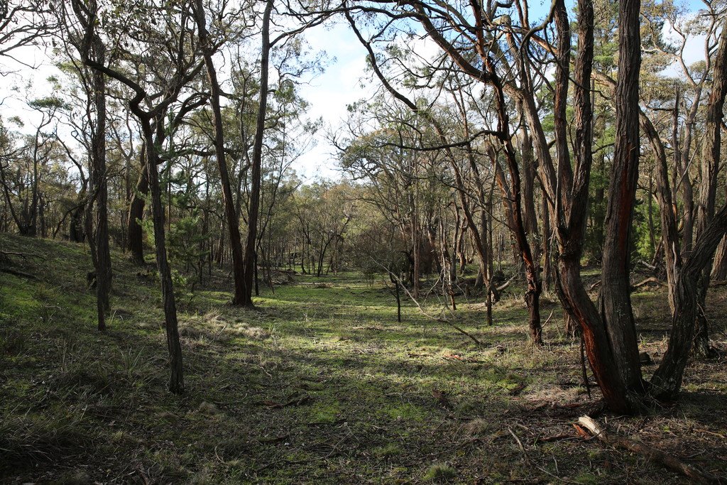 Lot 39 Station Lane CARNGHAM 1