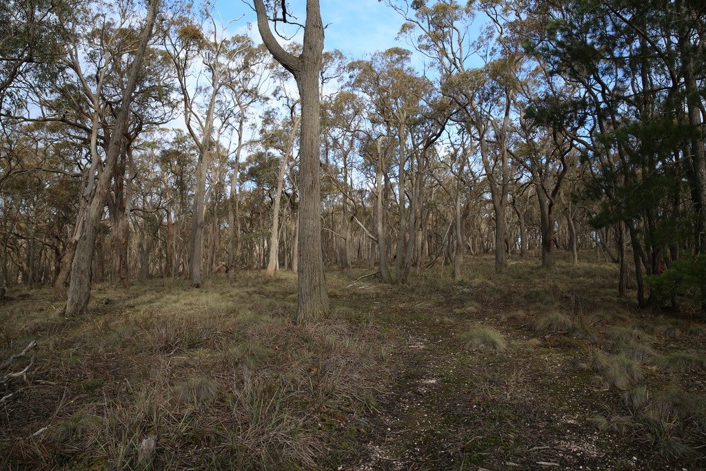 Lot 39 Station Lane CARNGHAM 5