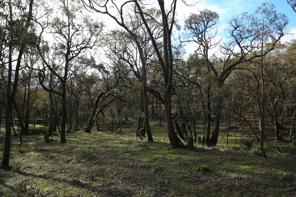 Lot 39 Station Lane CARNGHAM 6