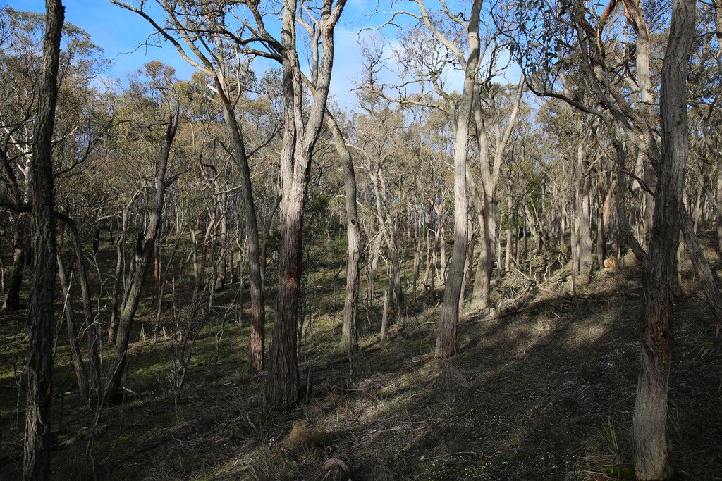 Lot 39 Station Lane CARNGHAM 7