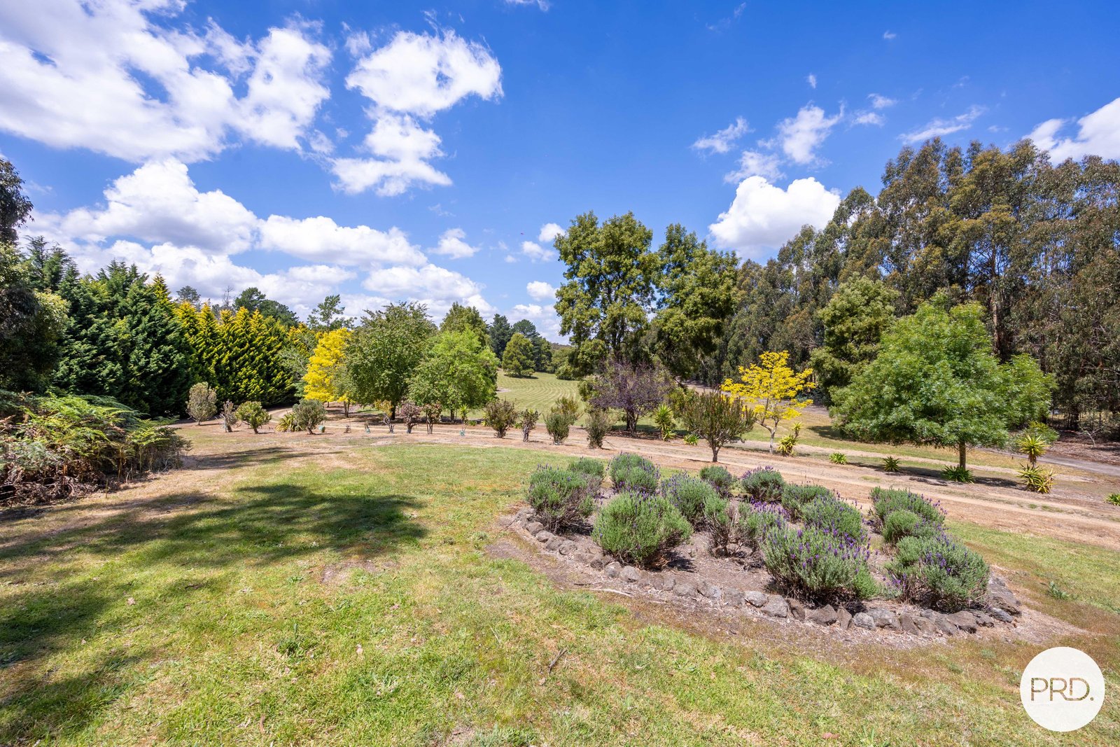 207 Clarendon-Lal Lal Road LAL LAL 6