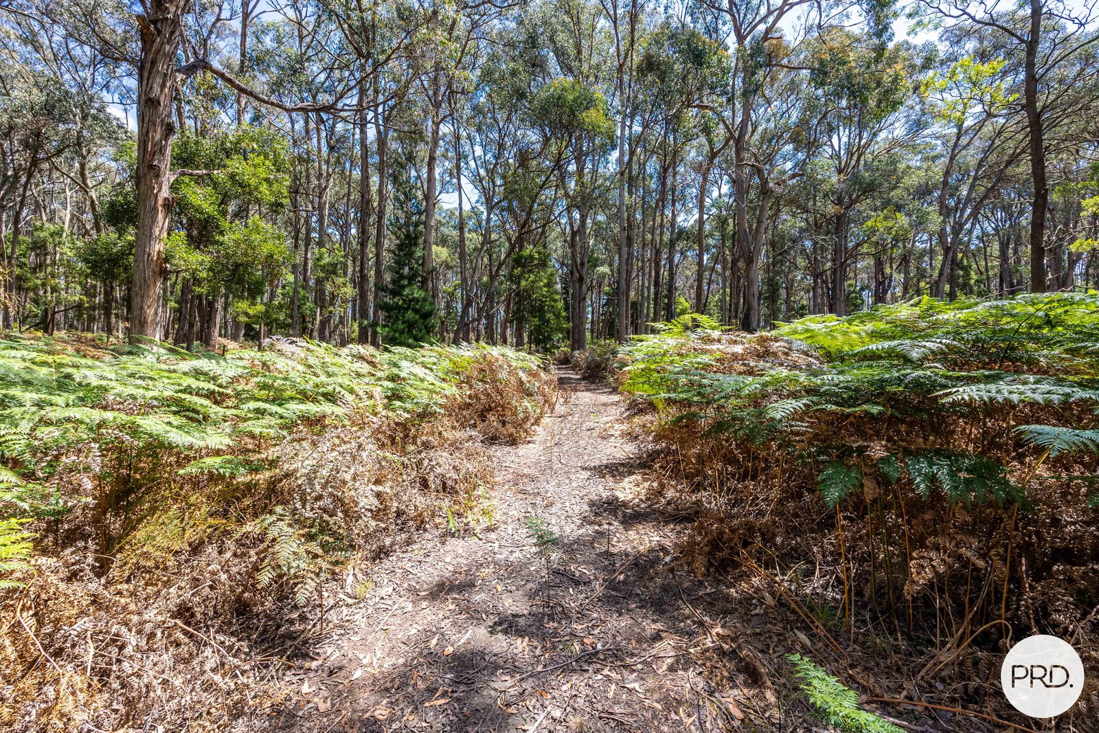 207 Clarendon-Lal Lal Road LAL LAL 13