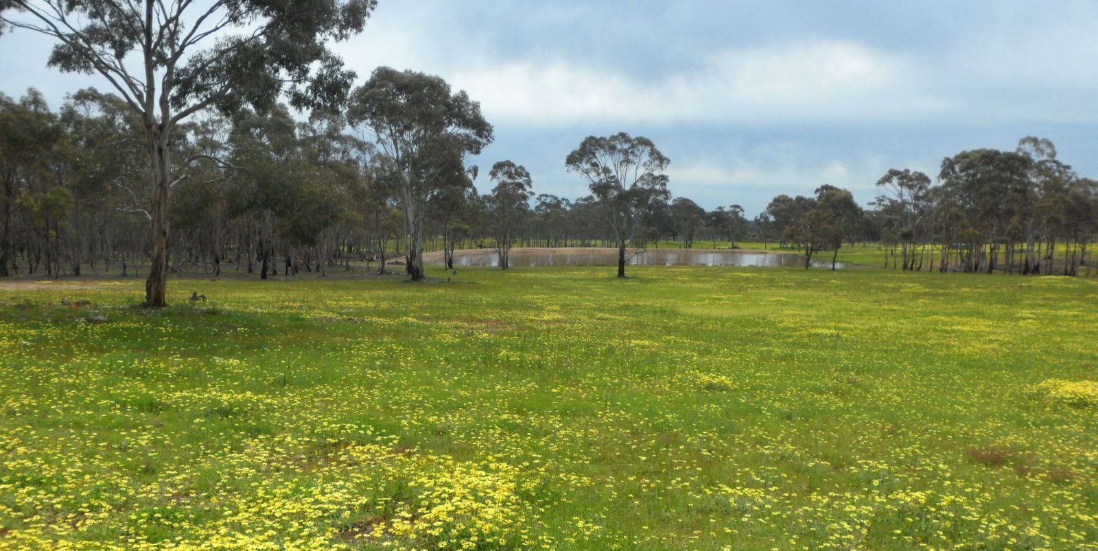 Lot 4, 63 Whitney Road AXE CREEK 1