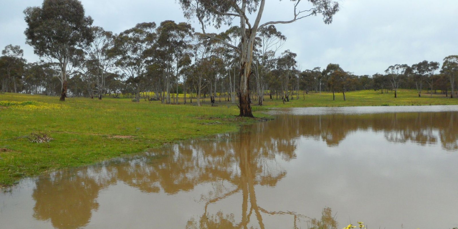 Lot 4, 63 Whitney Road AXE CREEK 2