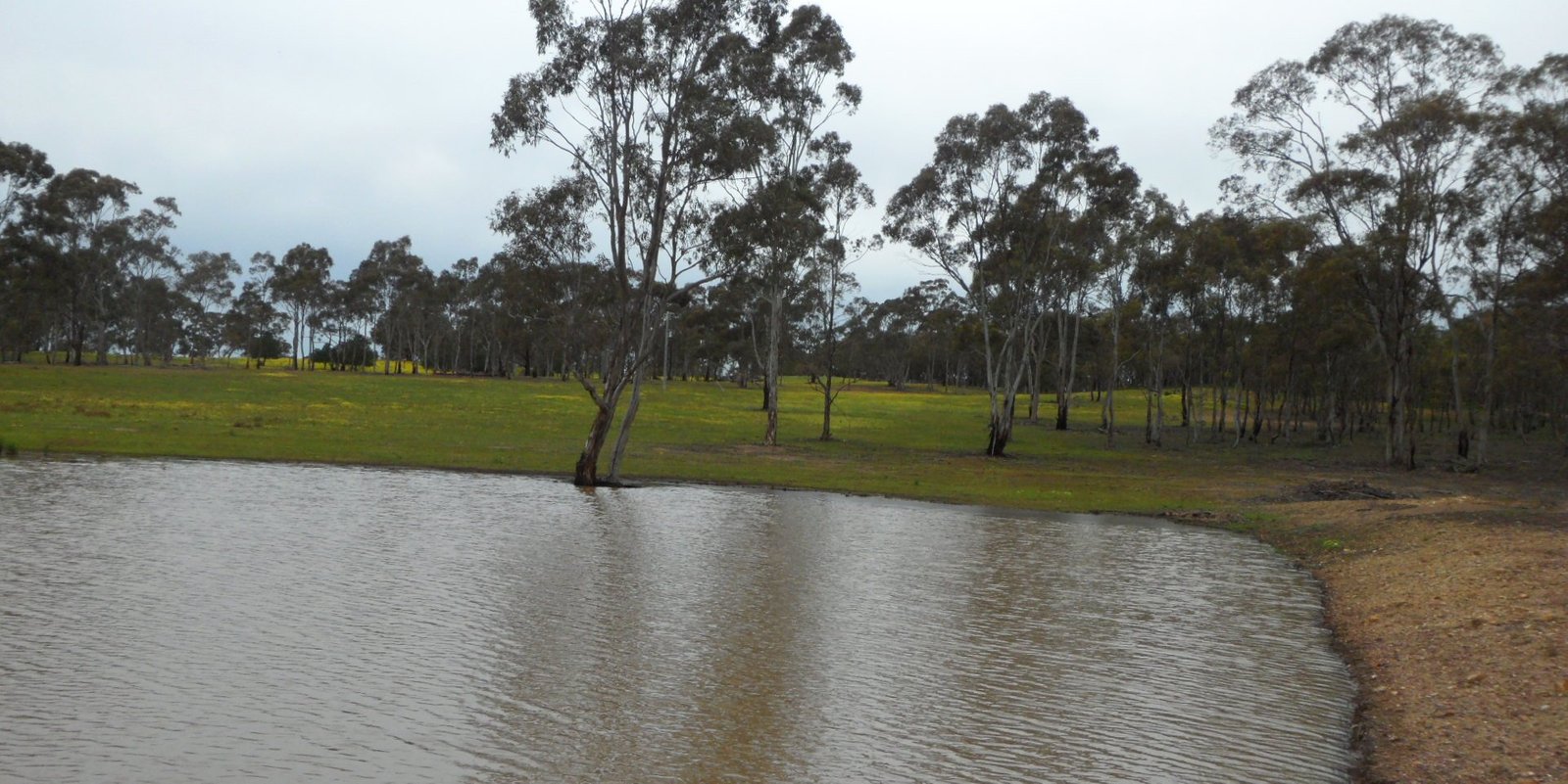 Lot 4, 63 Whitney Road AXE CREEK 3