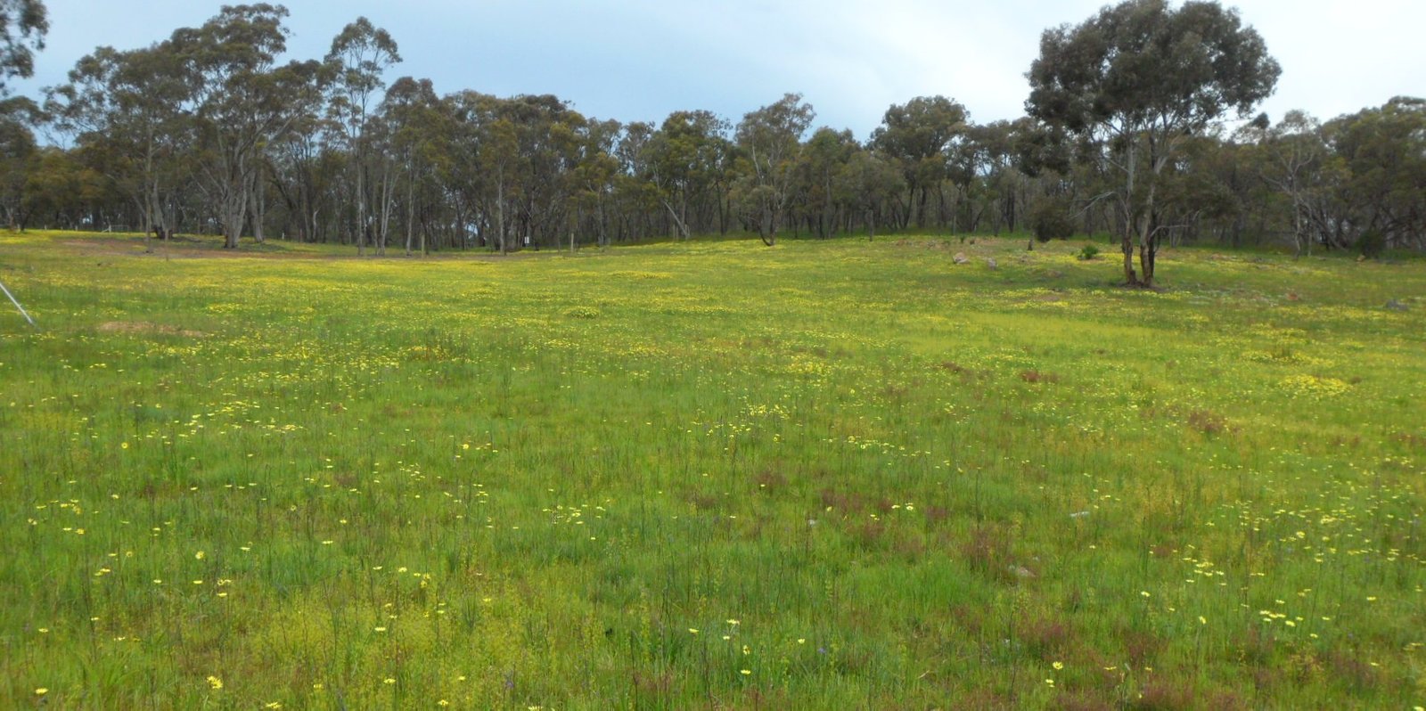 Lot 4, 63 Whitney Road AXE CREEK 5