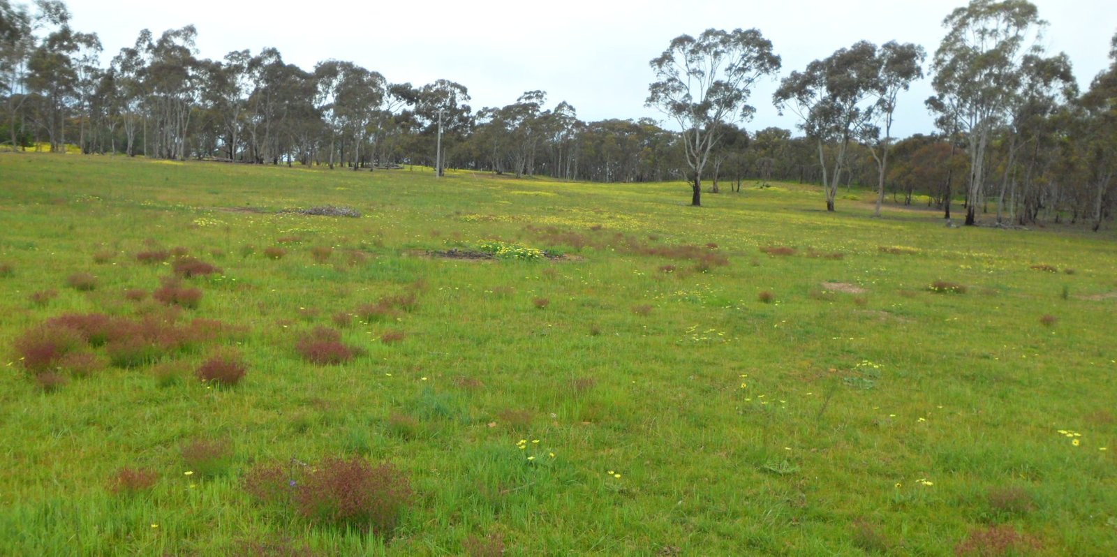 Lot 4, 63 Whitney Road AXE CREEK 6