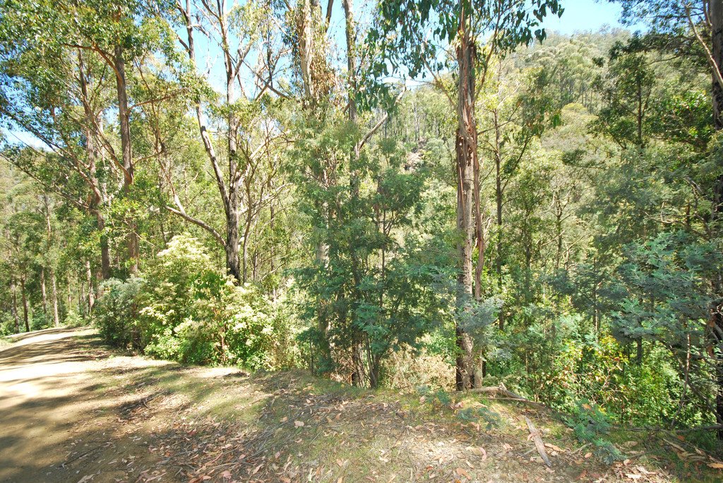 Lot 4 Back River Road MAGRA 2