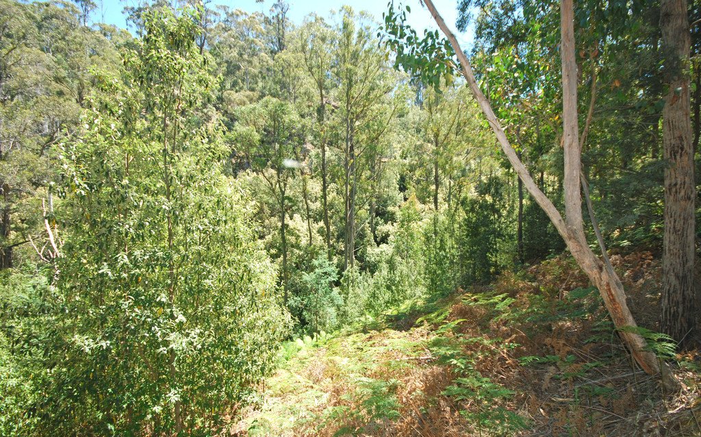 Lot 4 Back River Road MAGRA 4