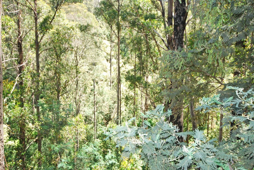 Lot 4 Back River Road MAGRA 5