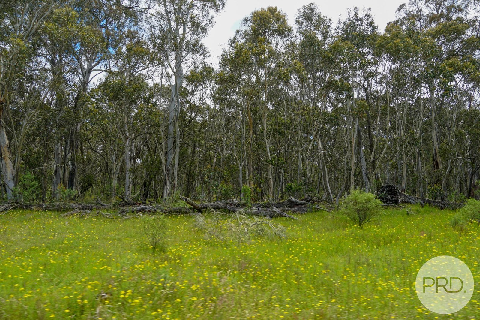 Lot 4 Bradley's Drive TUMBARUMBA 2