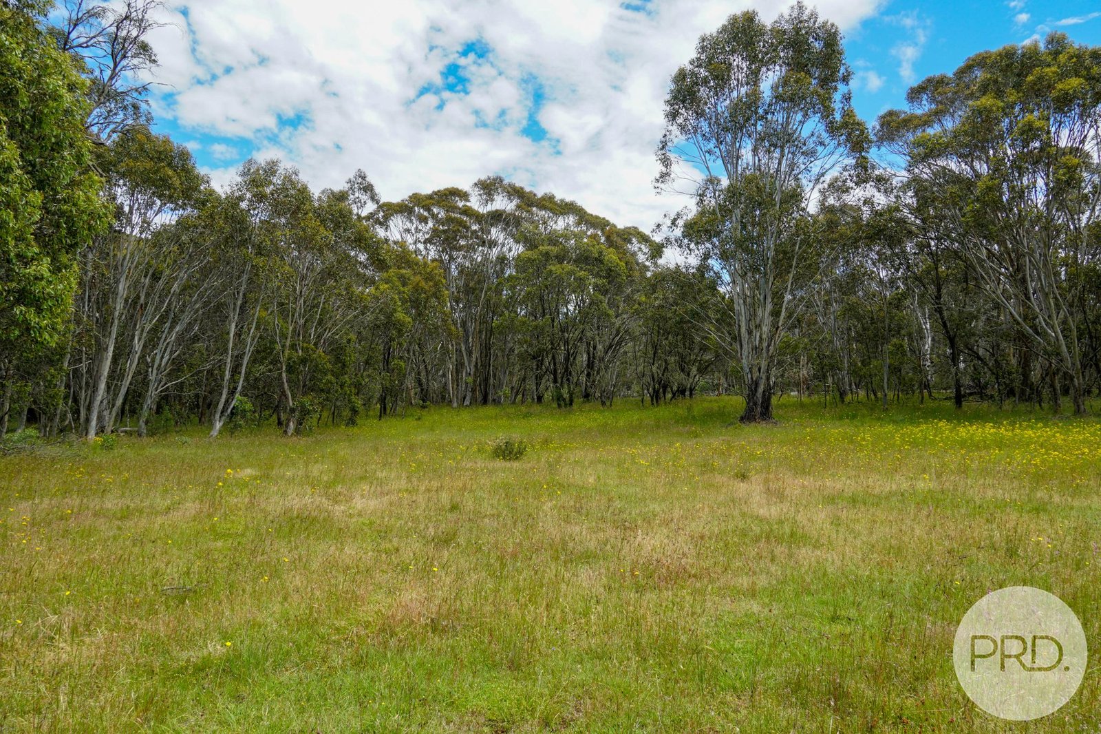 Lot 4 Bradley's Drive TUMBARUMBA 3