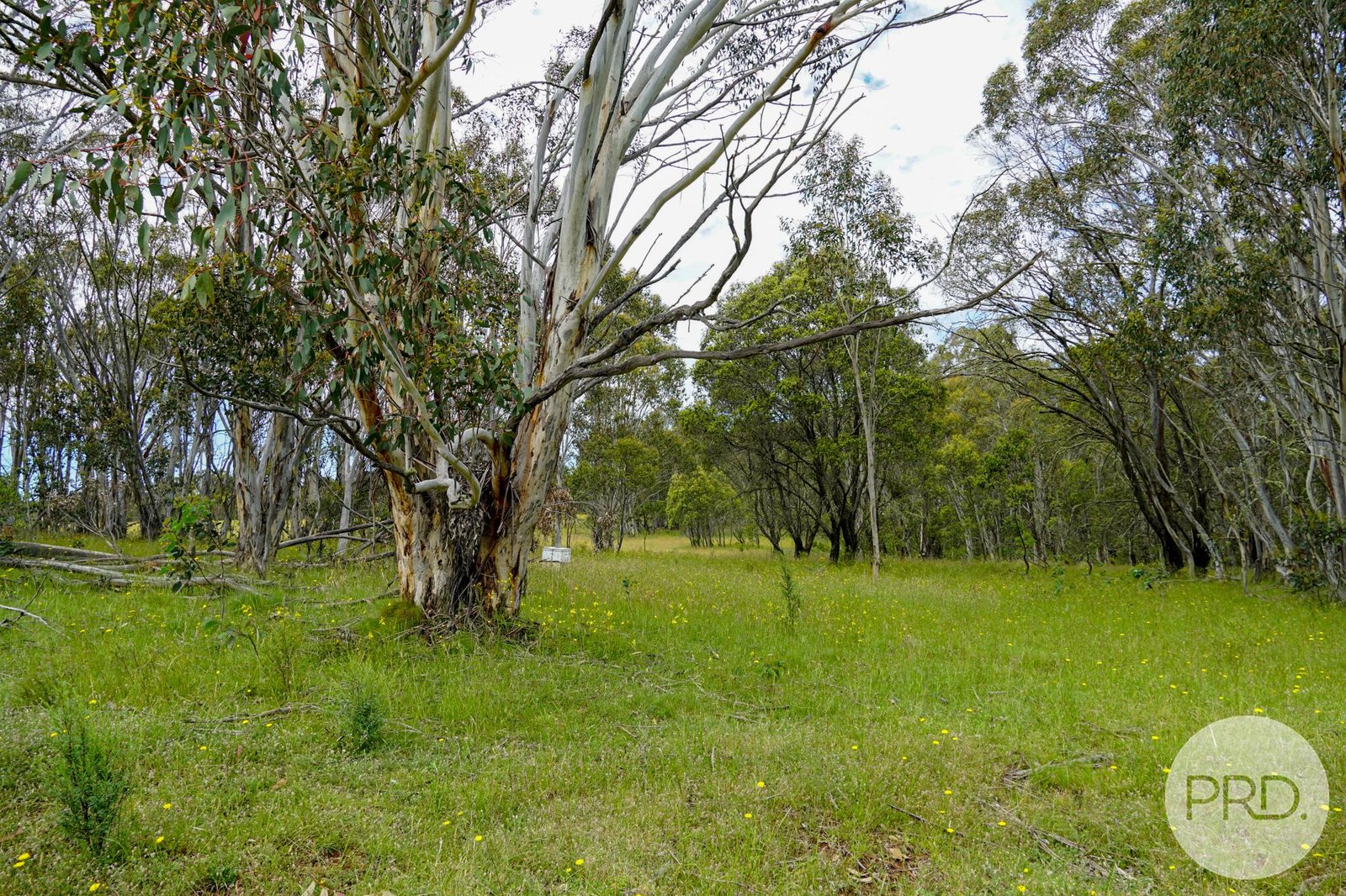 Lot 4 Bradley's Drive TUMBARUMBA 4