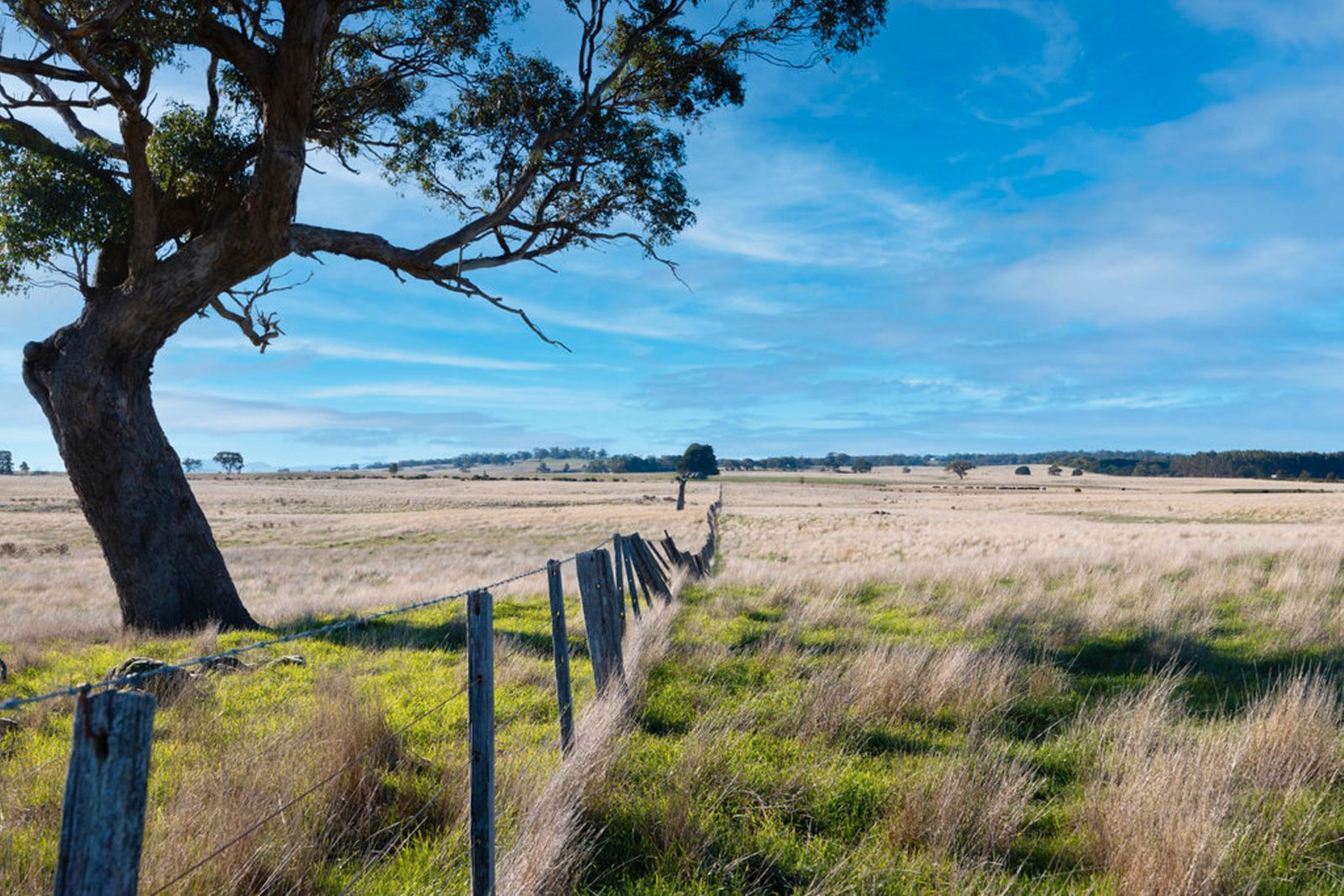 Photos: Lot 4 Browns Lane