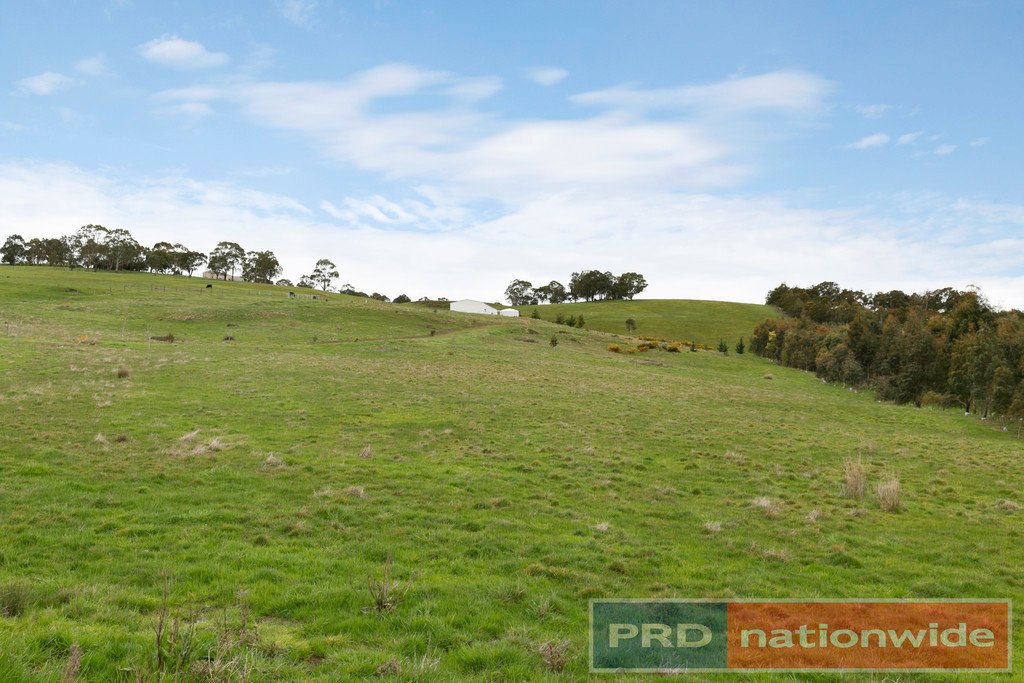 Lot 4 Buninyong-Mount Mercer Road DURHAM LEAD 5