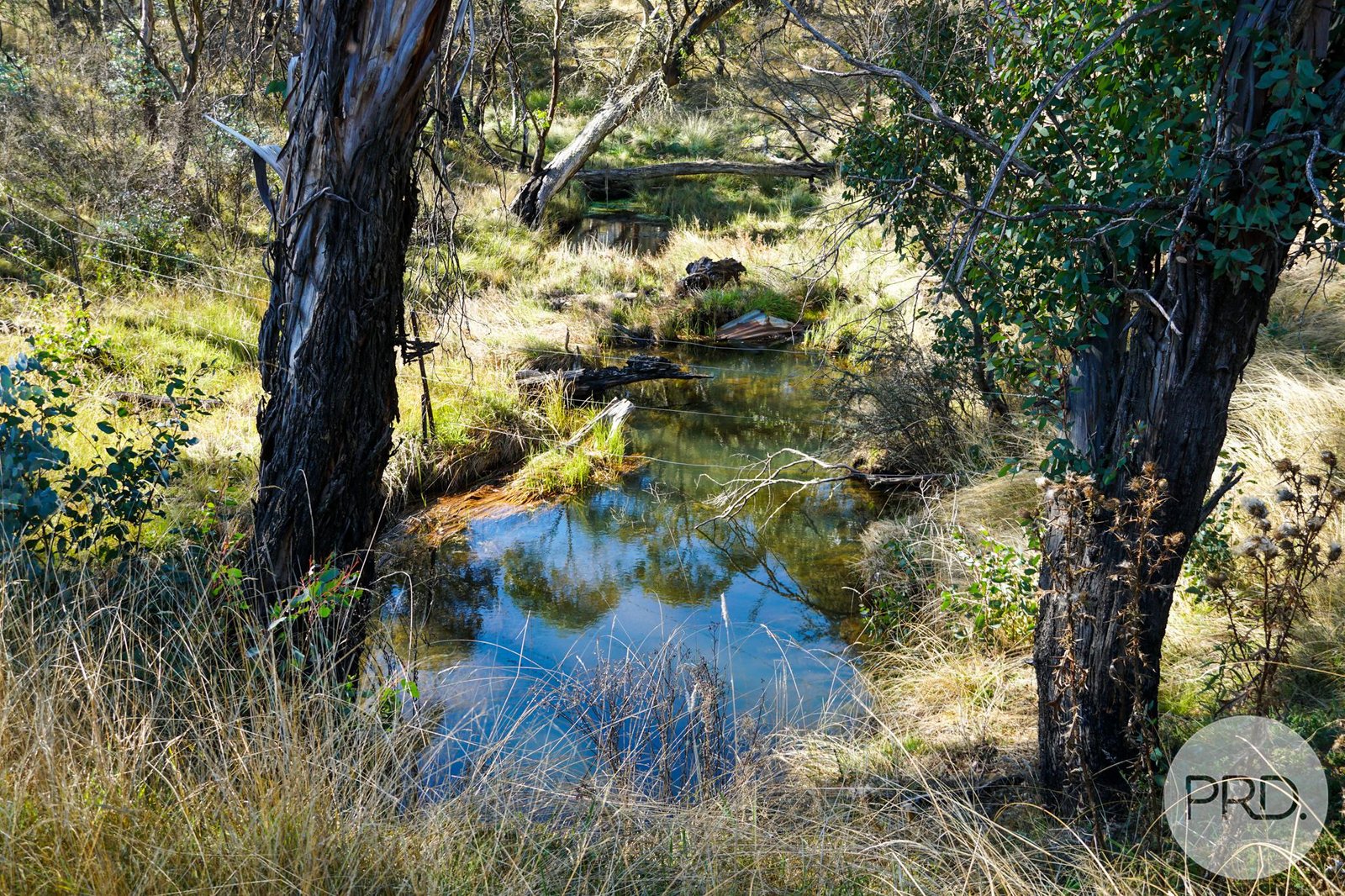 Lot 4 East Bago Powerline Road TUMBARUMBA 1