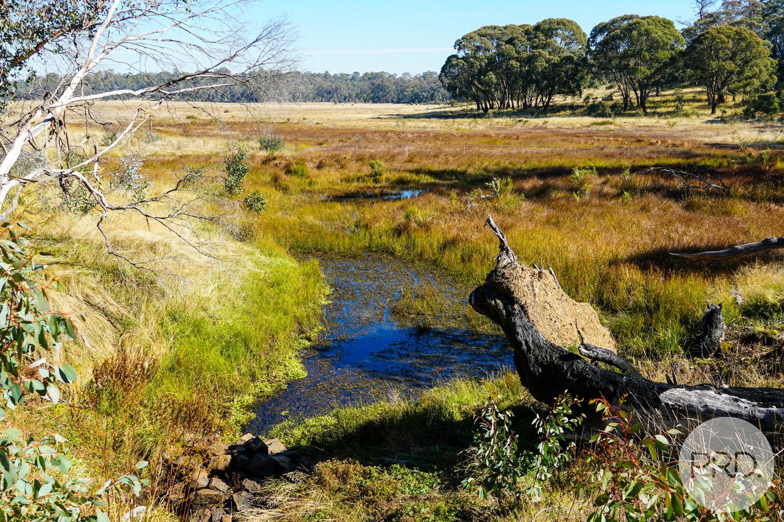 Lot 4 East Bago Powerline Road TUMBARUMBA 2